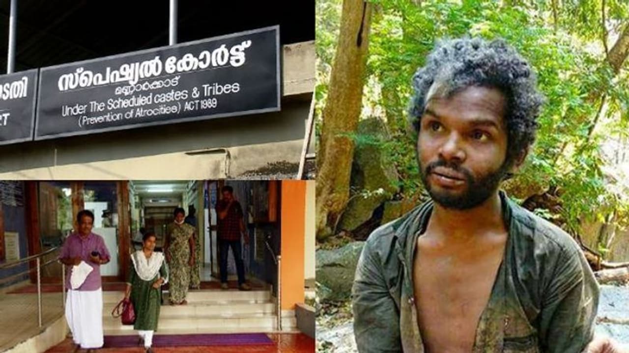മധു കേസ്: പ്രതിഭാഗത്തിന്റെ ചോദ്യശരങ്ങൾ, മുനയൊടിച്ച് ഡോ എൻഎ ബലറാമിന്റെ മറുപടി, കോടതി നടപടികൾ ഇങ്ങനെ...