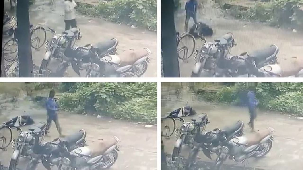 ಗೆಳತಿಗೆ ಗುಂಡಿಕ್ಕಿ ಚಲಿಸುತ್ತಿದ್ದ ವಾಹನದ ಕೆಳಗೆ ಹಾರಿದ ಭಗ್ನಪ್ರೇಮಿ: ಇಬ್ಬರೂ ಸಾವು