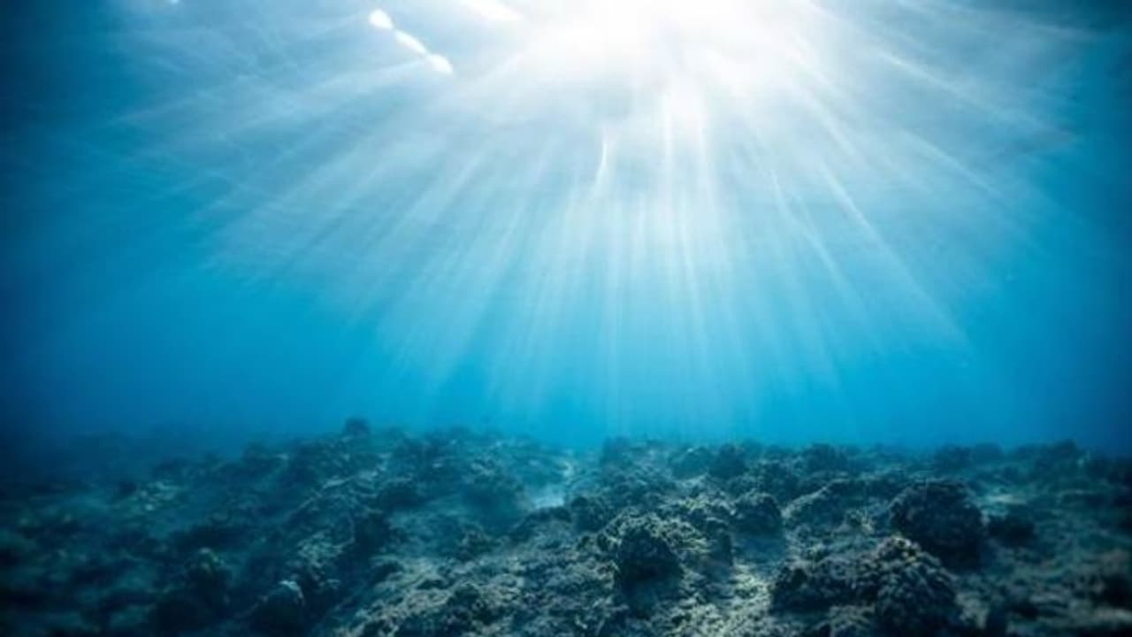 465 రోజుల కింద సముద్రంలో పోగొట్టుకున్న ఫోన్ మళ్లీ చిక్కింది.. వర్కింగ్ కండీషన్లోనే ఉందన్న యూజర్ 465 రోజుల కింద సముద్రంలో పోగొట్టుకున్న ఫోన్ మళ్లీ చిక్కింది.. వర్కింగ్ కండీషన్లోనే ఉందన్న యూజర్