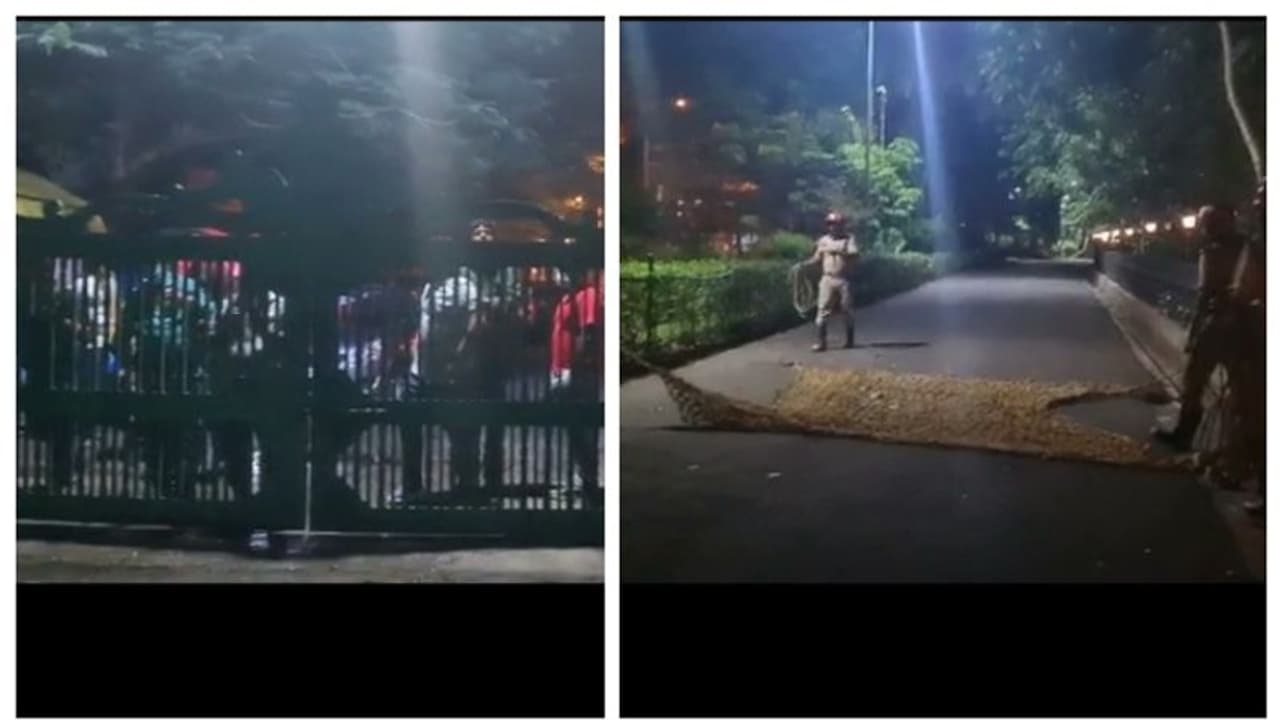 തിരുവനന്തപുരത്ത് പോത്ത് വിരണ്ടോടി മ്യൂസിയത്തിനകത്ത് കയറി, ഒരാളെ ഇടിച്ചിട്ടു, വലയിട്ട് പിടിച്ച് ഫയര്ഫോഴ്സ് തിരുവനന്തപുരത്ത് പോത്ത് വിരണ്ടോടി മ്യൂസിയത്തിനകത്ത് കയറി, ഒരാളെ ഇടിച്ചിട്ടു, വലയിട്ട് പിടിച്ച് ഫയര്ഫോഴ്സ്