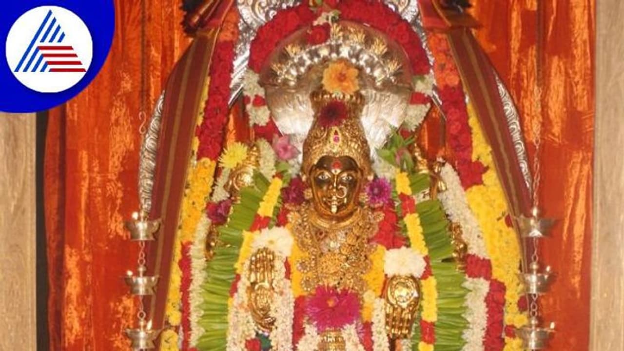 ಕಾಫಿನಾಡಿನಲ್ಲಿ ನವರಾತ್ರಿ ಸಂಭ್ರಮ: ದುರ್ಗೆಯ ದರ್ಶನಕ್ಕೆ ಶೃಂಗೇರಿ, ಹೊರನಾಡಲ್ಲಿ ಭಕ್ತ ಸಾಗರ..!