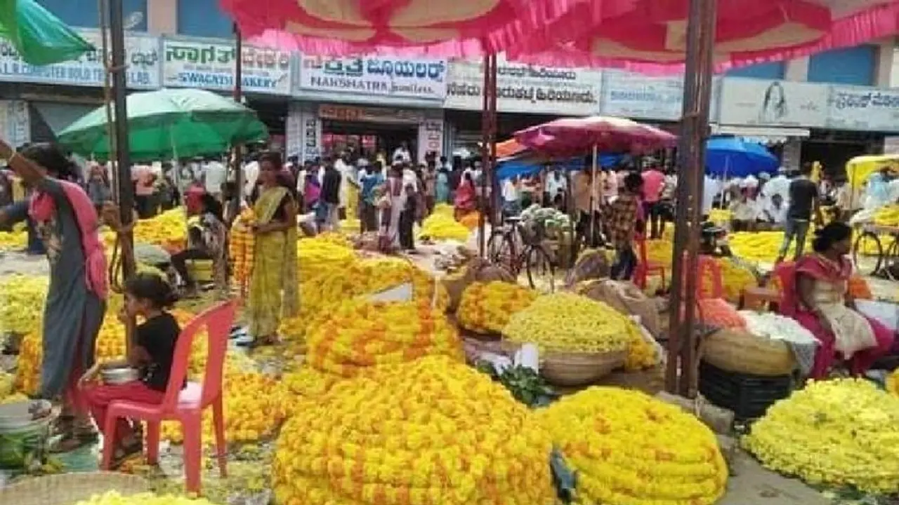 ಮಳೆ ಎಫೆಕ್ಟ್: ಹೂ ದರ ಕುಸಿತ, ಬೆಳೆಗಾರ ತತ್ತರ ಮಳೆ ಎಫೆಕ್ಟ್: ಹೂ ದರ ಕುಸಿತ, ಬೆಳೆಗಾರ ತತ್ತರ