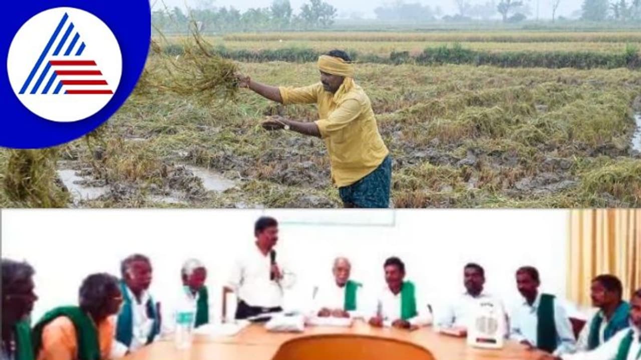 ಬೆಳೆನಷ್ಟಪರಿಹಾರ ಹೆಕ್ಟೇರ್ ಬದಲಾಗಿ ಎಕರೆಗೆ 24 ಸಾವಿರ ರು. ನೀಡಿ ಬೆಳೆನಷ್ಟಪರಿಹಾರ ಹೆಕ್ಟೇರ್ ಬದಲಾಗಿ ಎಕರೆಗೆ 24 ಸಾವಿರ ರು. ನೀಡಿ