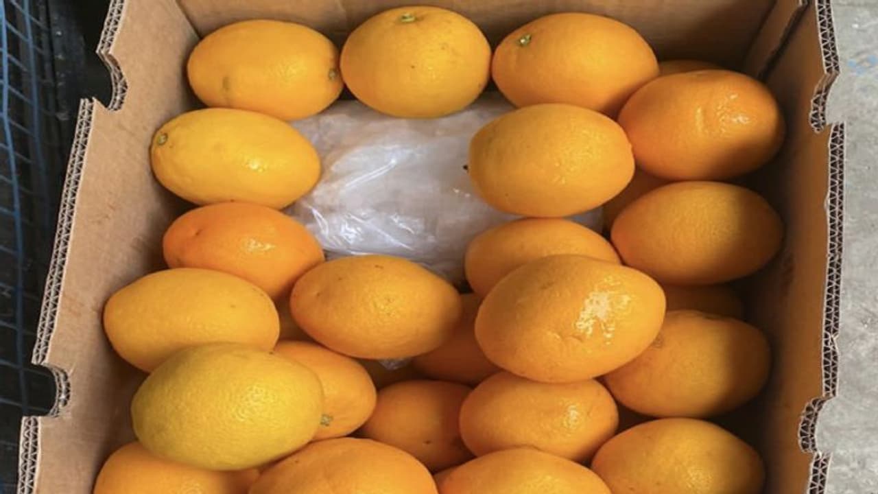 ఆరెంజ్ ఫ్రూట్ బాక్స్ల్లో రూ. రూ.1,476 కోట్లు విలువ చేసే డ్రగ్స్.. ఎలా చిక్కాయంటే..? ఆరెంజ్ ఫ్రూట్ బాక్స్ల్లో రూ. రూ.1,476 కోట్లు విలువ చేసే డ్రగ్స్.. ఎలా చిక్కాయంటే..?