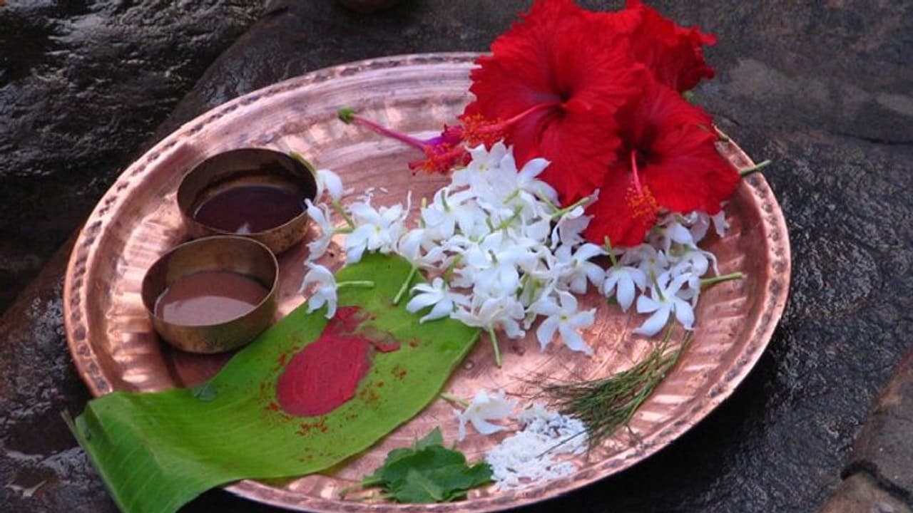 দেবী দুর্গাকে ভুলেও এই কয়টি ফুল নিবেদন করবেন না, রুষ্ট হতে পারেন দেবী