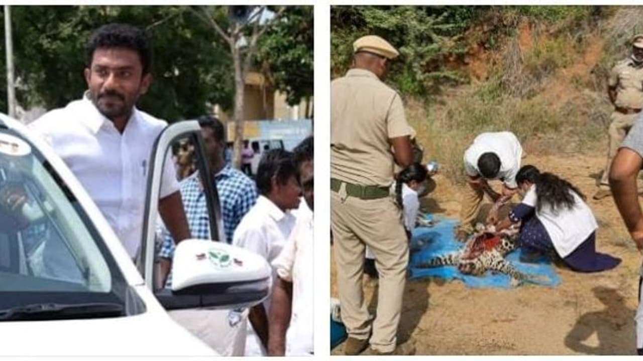 கைதாகிறாரா ஓ.பி. ரவிந்திரநாத்..? சிறுத்தை மர்ம மரணத்தில் திடீர் சிக்கல்