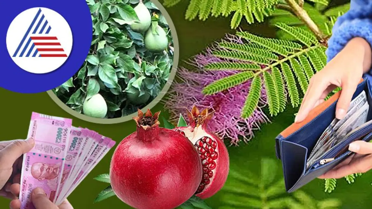 ಕೊಟ್ಟ ಸಾಲ ಮರಳಲು, ಸಾಲ ತೀರಿಸಲು ಈ ವಾಸ್ತು ಟಿಪ್ಸ್ ಫಾಲೋ ಮಾಡಿ