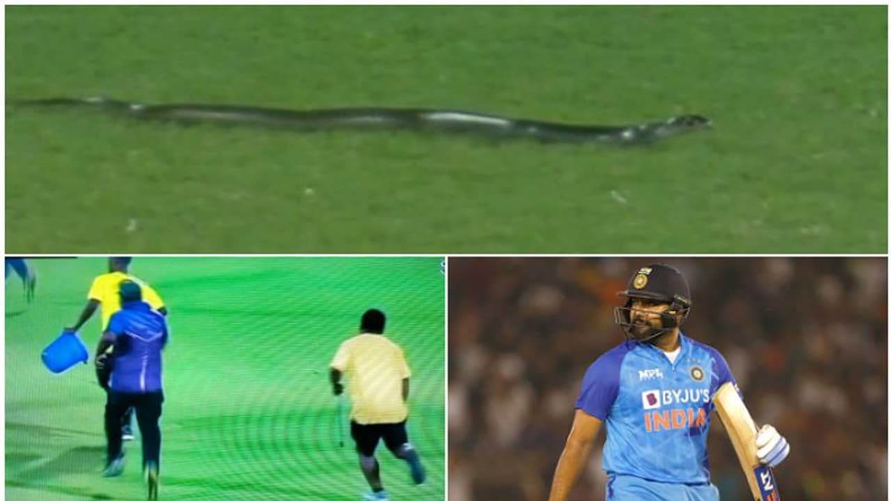 ഗ്രൗണ്ടിൽ അപ്രതീക്ഷിതമായി ഇഴഞ്ഞെത്തി അതിഥി! പാമ്പിനെ കണ്ട് പകച്ച് രോഹിതും രാഹുലും, മത്സരം തടസപ്പെട്ടു! വീഡിയോ ഗ്രൗണ്ടിൽ അപ്രതീക്ഷിതമായി ഇഴഞ്ഞെത്തി അതിഥി! പാമ്പിനെ കണ്ട് പകച്ച് രോഹിതും രാഹുലും, മത്സരം തടസപ്പെട്ടു! വീഡിയോ