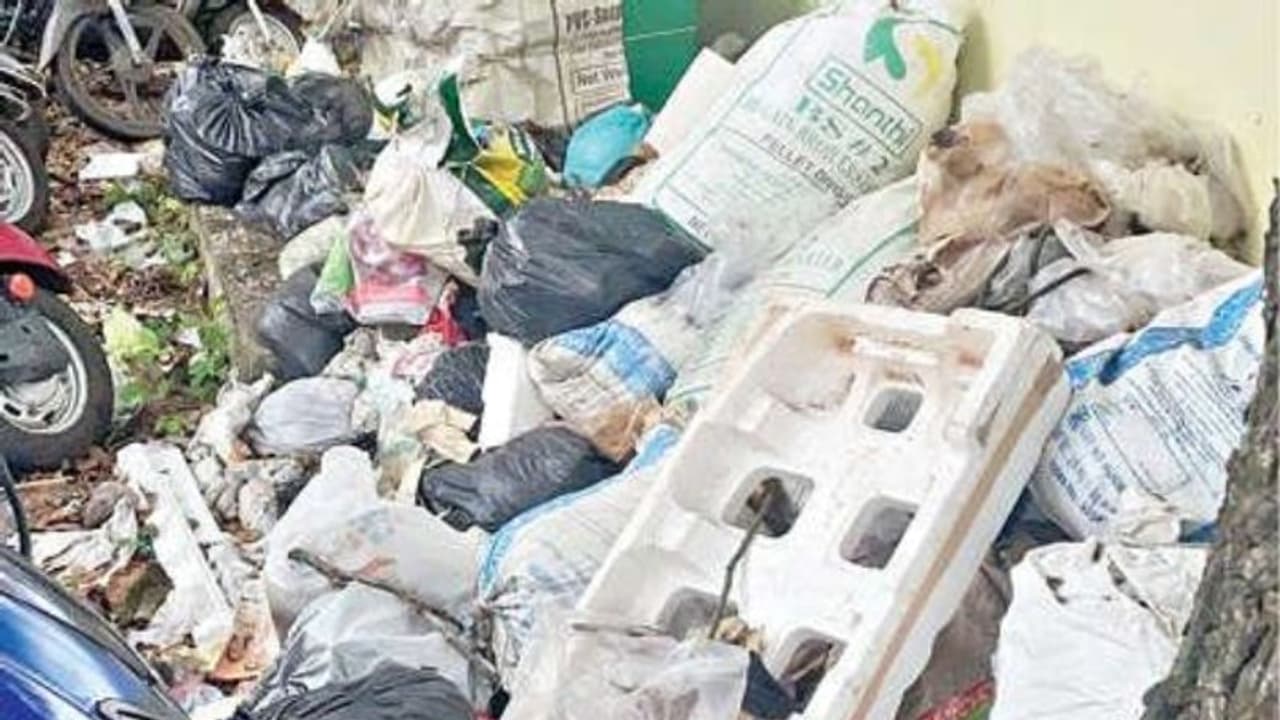 താക്കീതിനും ഫലമില്ല; ചാരുംമൂട്ടില് അടച്ചുപൂട്ടിയ മാലിന്യ ശേഖരണ സംഭരണിയ്ക്ക് സമീപം മാലിന്യക്കൂമ്പാരം താക്കീതിനും ഫലമില്ല; ചാരുംമൂട്ടില് അടച്ചുപൂട്ടിയ മാലിന്യ ശേഖരണ സംഭരണിയ്ക്ക് സമീപം മാലിന്യക്കൂമ്പാരം