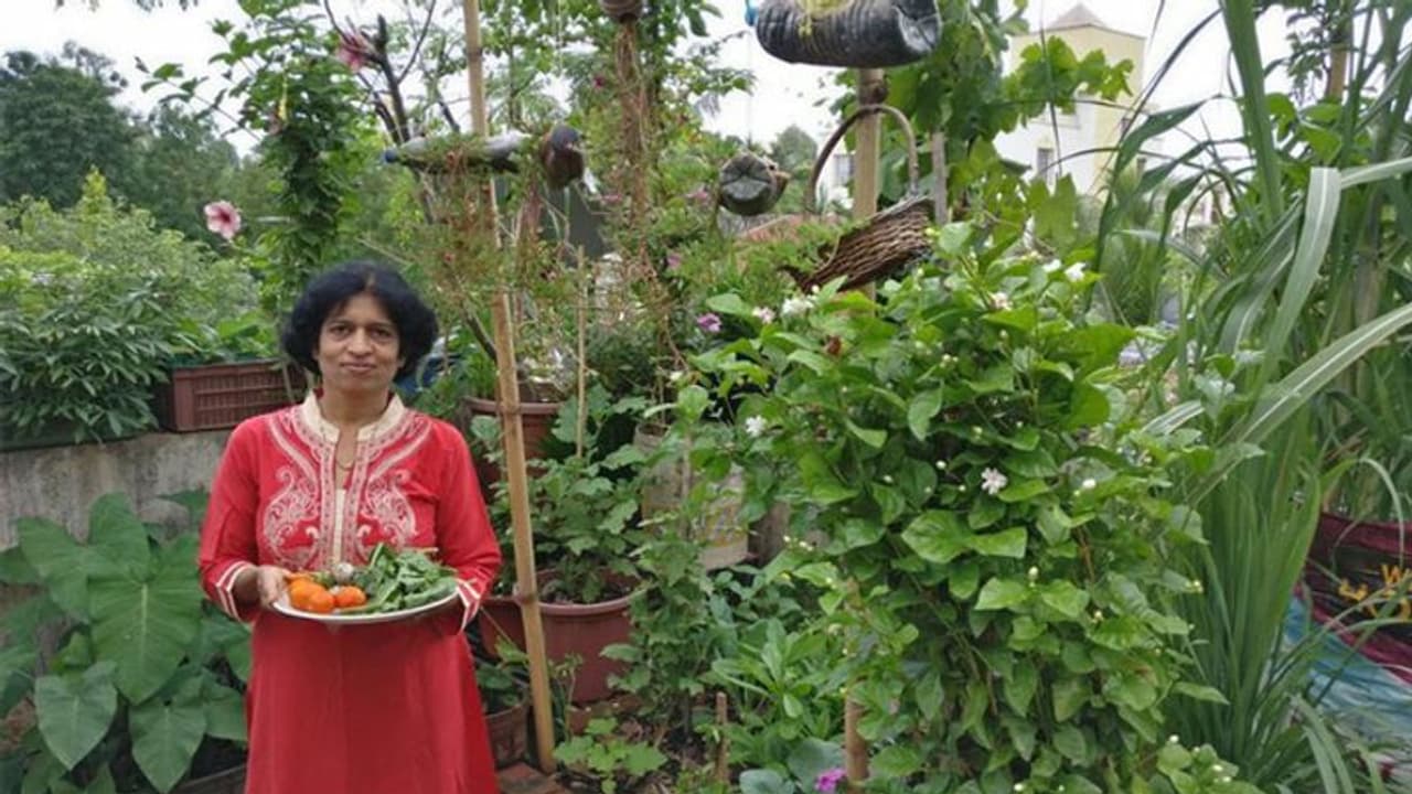 बिना मिट्टी के ही फल फूल से लेकर सब्जियां तक उगा रही यह महिला, जानें कैसे अपनी छत को बना दिया हरा भरा खेत