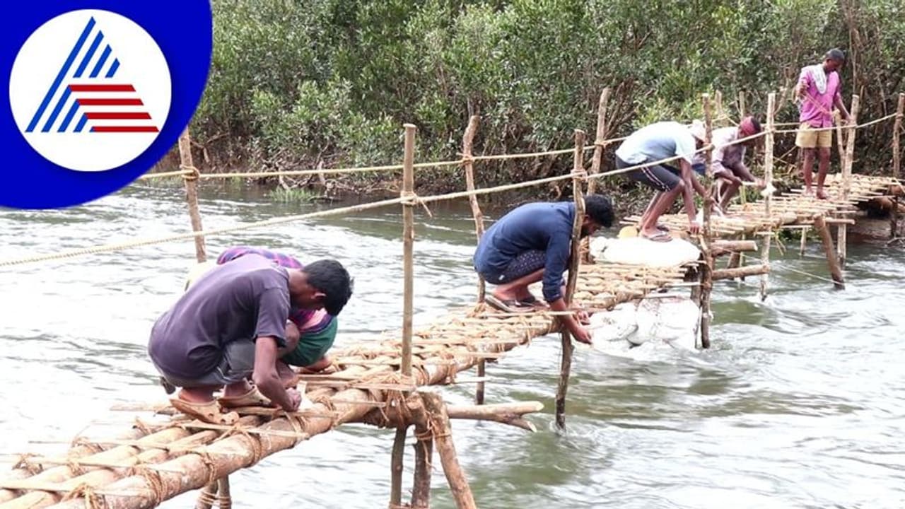 ಸರ್ಕಾರ, ಜನಪ್ರತಿನಿಧಿಗಳಿಗೆ ಸೆಡ್ಡು ಹೊಡೆದು ನದಿಗೆ ತಾತ್ಕಲಿಕ ಬ್ರಿಡ್ಜ್ ನಿರ್ಮಾಣ ಮಾಡಿದ ಸ್ಥಳೀಯರು