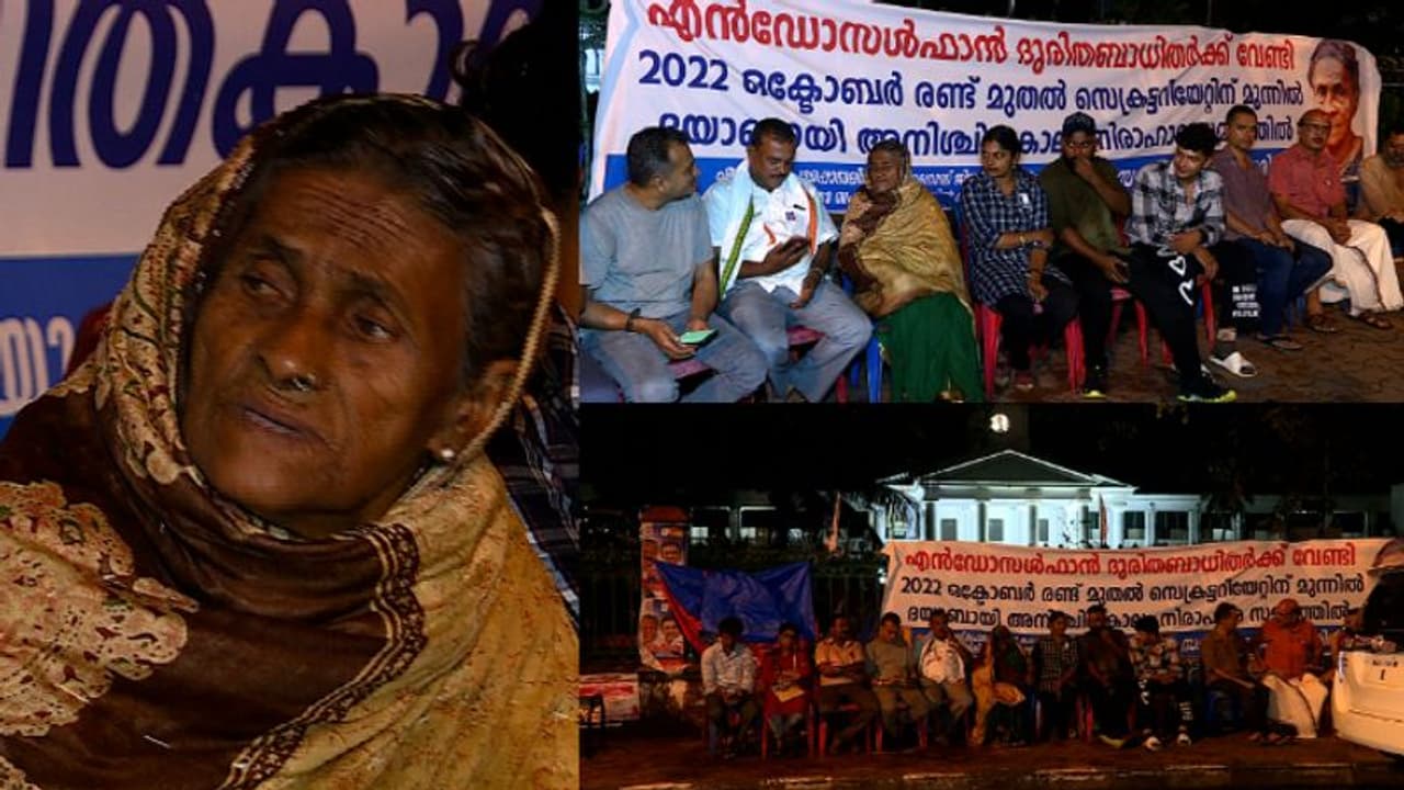 എൻഡോസൾഫാൻ ദുരിതബാധിതരുടെ ആരോഗ്യപ്രശ്നങ്ങൾക്ക് ശാശ്വത പരിഹാരം വേണം; നിരാഹാര സമരവുമായി ദയാബായി എൻഡോസൾഫാൻ ദുരിതബാധിതരുടെ ആരോഗ്യപ്രശ്നങ്ങൾക്ക് ശാശ്വത പരിഹാരം വേണം; നിരാഹാര സമരവുമായി ദയാബായി