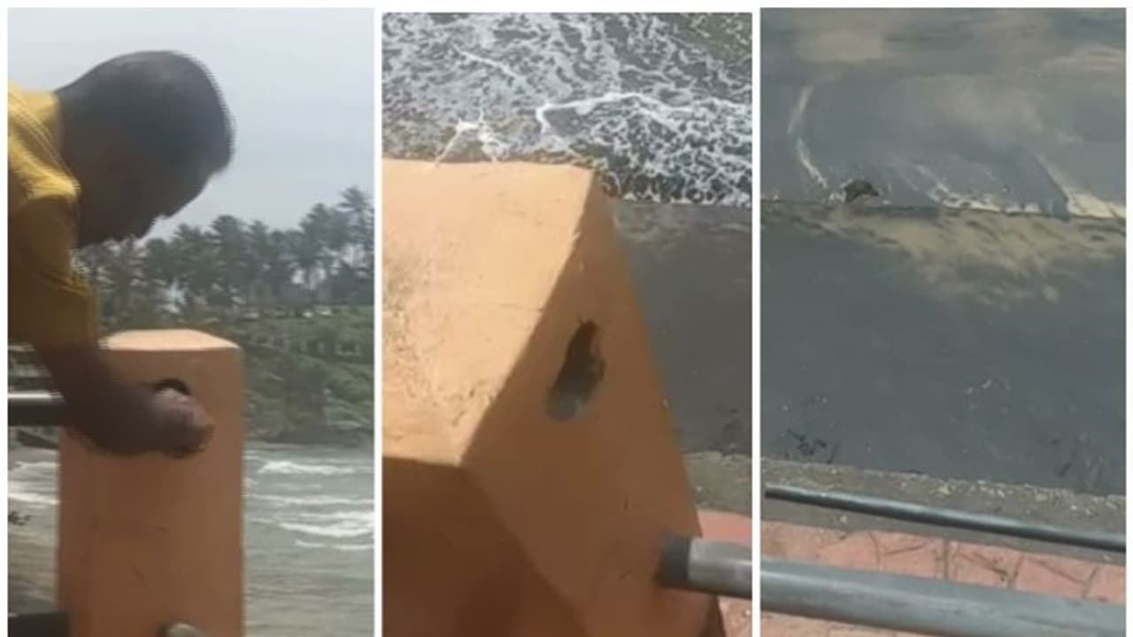 കോവളം ലൈറ്റ് ഹൗസ് ബീമിലെ കൈവരിയുടെ കമ്പി ഇളകി വീണു; മൂന്നു വിനോദസഞ്ചാരികൾക്ക് പരിക്ക് കോവളം ലൈറ്റ് ഹൗസ് ബീമിലെ കൈവരിയുടെ കമ്പി ഇളകി വീണു; മൂന്നു വിനോദസഞ്ചാരികൾക്ക് പരിക്ക്