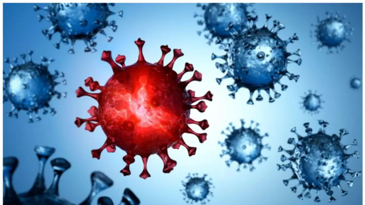 കൊറോണ വൈറസ് രൂപീകരണത്തിന്‍റെ മോഡല്‍ കണ്ടെത്തി ; ഇനി മരുന്നുകള്‍ ഫലപ്രദമാകും