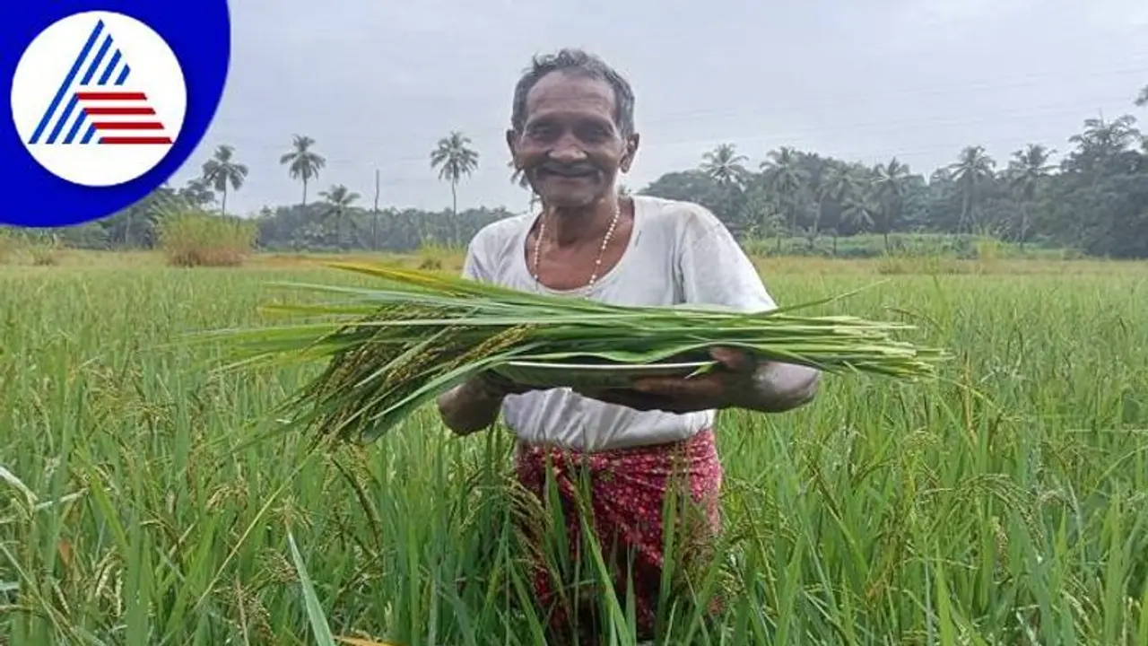 ಉಡುಪಿ: ಹಿಂದೂ ಹಬ್ಬಕ್ಕೆ ಭತ್ತದ ತೆನೆ ನೀಡಿದ ಕ್ರಿಶ್ಚಿಯನ್, ಸೌಹಾರ್ದತೆ ಅಂದ್ರೆ ಇದುವೇ ನೋಡಿ..! ಉಡುಪಿ: ಹಿಂದೂ ಹಬ್ಬಕ್ಕೆ ಭತ್ತದ ತೆನೆ ನೀಡಿದ ಕ್ರಿಶ್ಚಿಯನ್, ಸೌಹಾರ್ದತೆ ಅಂದ್ರೆ ಇದುವೇ ನೋಡಿ..!