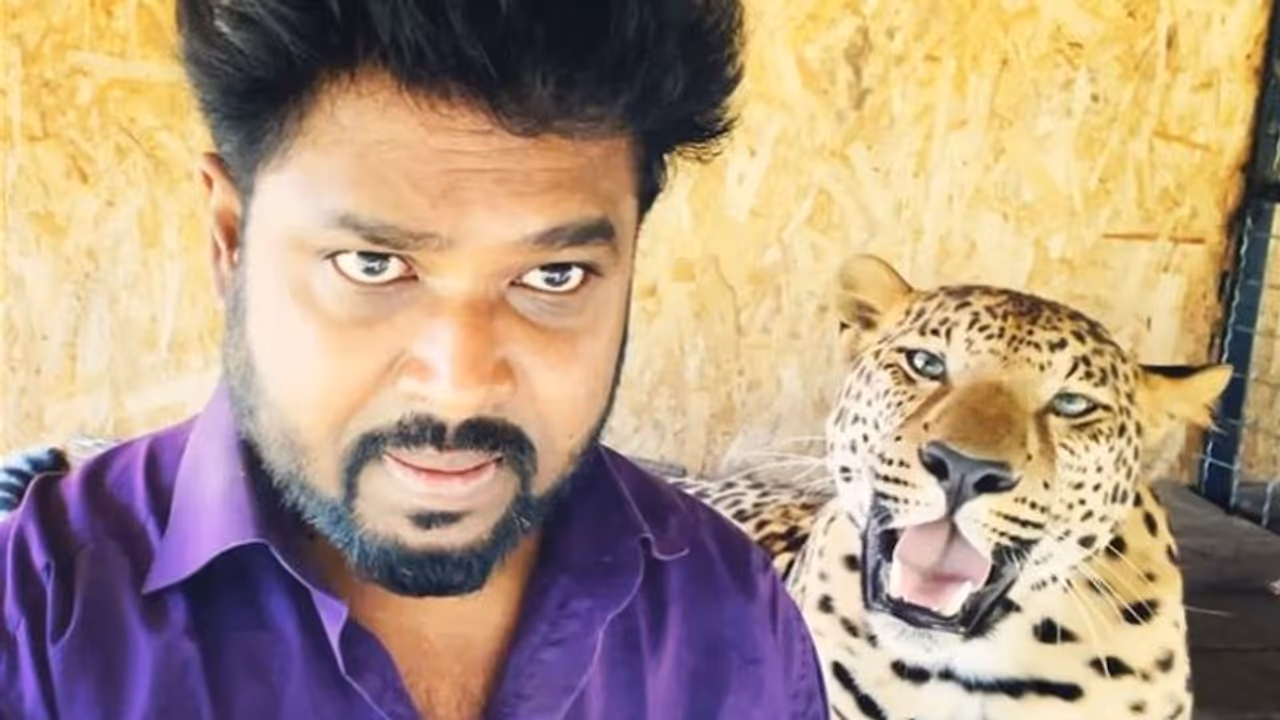 Andhra doctor seeks Modi govt's help to rescue pet panther and jaguar from Ukraine Andhra doctor seeks Modi govt's help to rescue pet panther and jaguar from Ukraine
