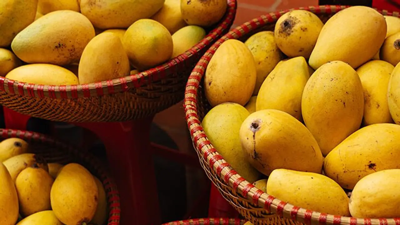 Health Benefits of Mango : മാമ്പഴം കഴിച്ചാലുള്ള ആരോ​ഗ്യ​ഗുണങ്ങൾ 