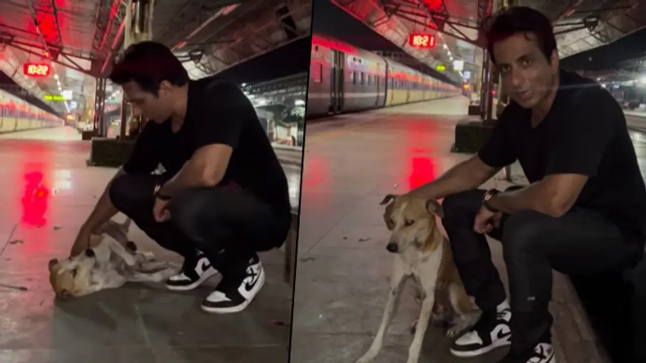 Sonu Sood urges people to show love toward street dogs; watch viral video