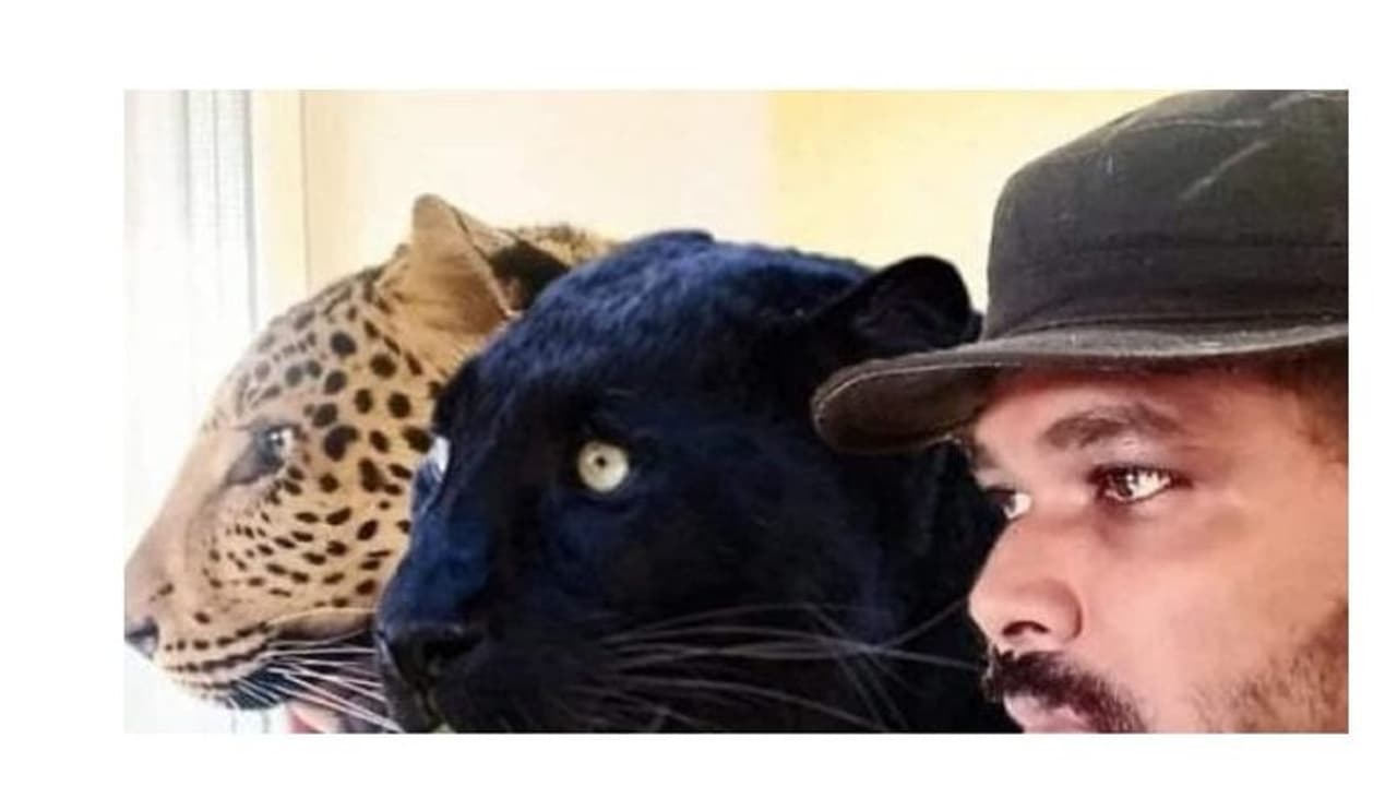 आंध्र के डॉक्टर के पालतू 'पैंथर' और 'जगुआर' रूस यूक्रेन युद्ध में फंसे, भारत सरकार से लगाई बचाने की गुहार
