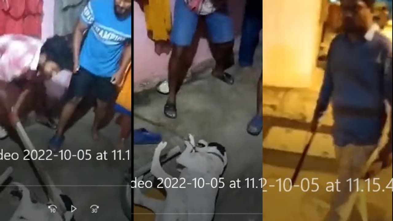 നായയോട് കൊടും ക്രൂരത, കാലുകള്‍ കെട്ടിയിട്ട് തല്ലിച്ചതച്ചു; മൂന്ന് യുവാക്കള്‍ അറസ്റ്റില്‍