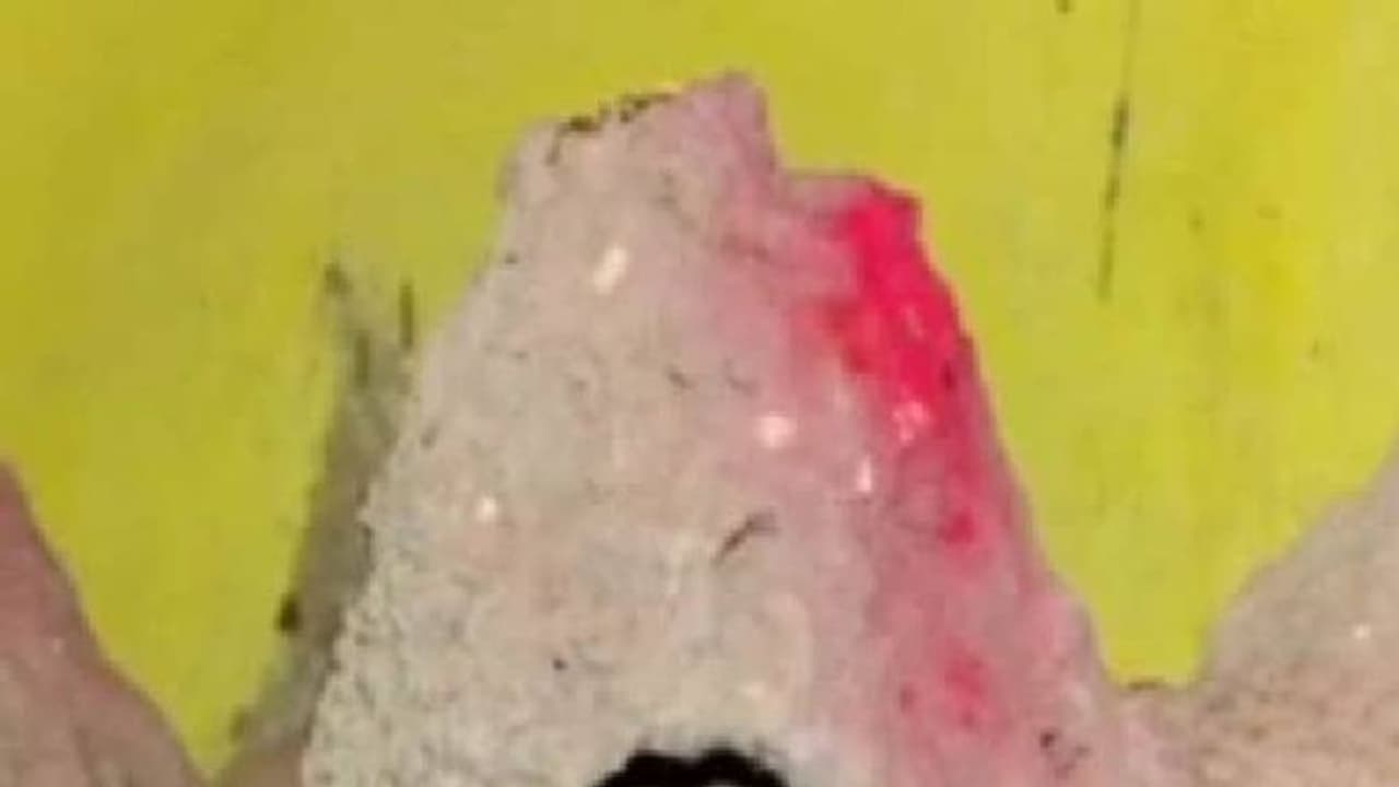 നാട്ടുകാരെ ഭീതിയിലാഴ്ത്തി ഒഡീഷയിലെ പാമ്പ് വീട്; വീട്ടുകാർക്കൊപ്പം കഴിയുന്നത് ഉഗ്രവിഷമുള്ള നിരവധി പാമ്പുകൾ നാട്ടുകാരെ ഭീതിയിലാഴ്ത്തി ഒഡീഷയിലെ പാമ്പ് വീട്; വീട്ടുകാർക്കൊപ്പം കഴിയുന്നത് ഉഗ്രവിഷമുള്ള നിരവധി പാമ്പുകൾ