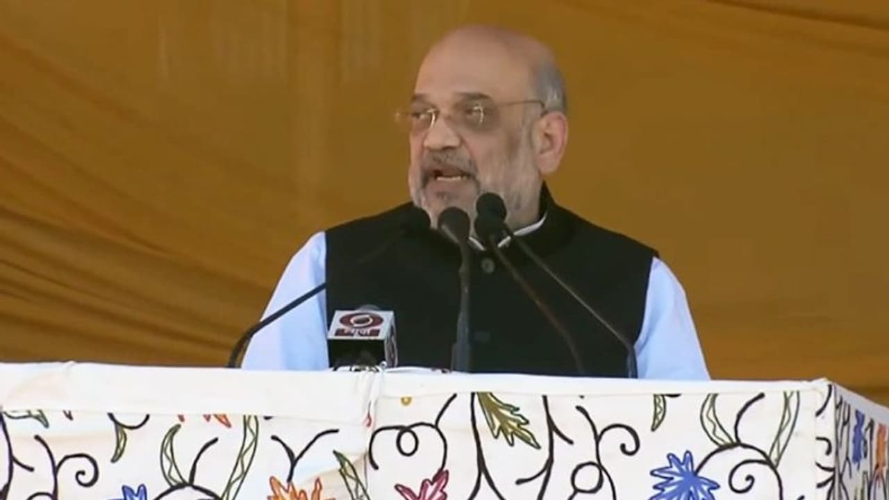'Nothing to hide or be afraid of': Amit Shah slams Congress on allegations that BJP 'favours' Adani