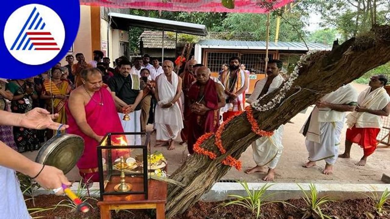 ಉಡುಪಿ: ಕಡಿಯಾಳಿ ಮಹಿಷ ಮರ್ದಿನಿ ಸನ್ನಿಧಾನದಲ್ಲಿ ಶಮಿ ವೃಕ್ಷ ಪೂಜೆ ಉಡುಪಿ: ಕಡಿಯಾಳಿ ಮಹಿಷ ಮರ್ದಿನಿ ಸನ್ನಿಧಾನದಲ್ಲಿ ಶಮಿ ವೃಕ್ಷ ಪೂಜೆ