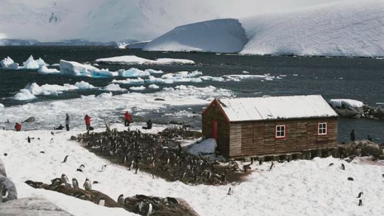  ലോകത്തിന്‍റെ ഏറ്റവും തെക്കേ അറ്റത്തുള്ള 'അസാധാരണ ജോലി'ക്കായി നാല് വനിതകള്‍; പിന്തള്ളിയത് 4000 പേരെ