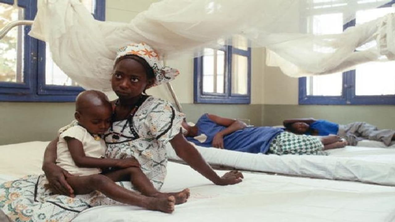 ৬৬ জন গাম্বিয়ান শিশুর মৃত্যু! ভারতে তৈরি সর্দিকাশির সিরাপ নিয়ে এবার বিশ্ব স্বাস্থ্য সংস্থার সতর্কবার্তা ৬৬ জন গাম্বিয়ান শিশুর মৃত্যু! ভারতে তৈরি সর্দিকাশির সিরাপ নিয়ে এবার বিশ্ব স্বাস্থ্য সংস্থার সতর্কবার্তা