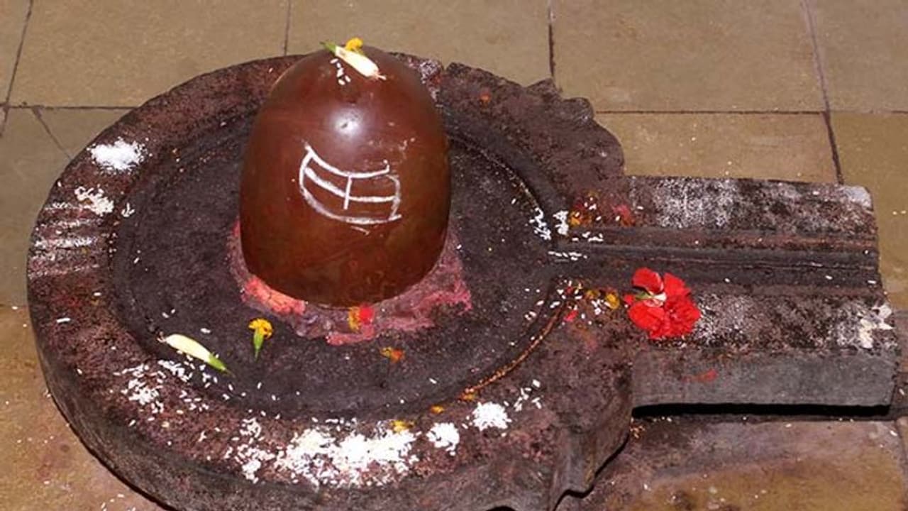 Shukra Pradosh 2022: 7 अक्टूबर को शुक्र प्रदोष का संयोग, जानें शुभ मुहूर्त, पूजा विधि और महत्व