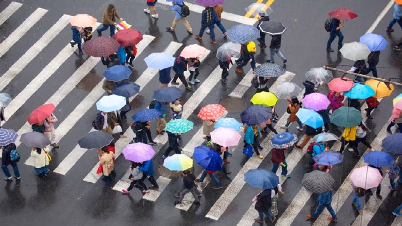 Karnataka: Bengaluru likely to receive heavy rain; yellow alert in 8 districts Karnataka: Bengaluru likely to receive heavy rain; yellow alert in 8 districts
