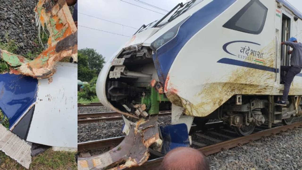 Mumbai Gandhinagar Vande Bharat Express: எருமை மாடு மீது மோதிய மும்பை காந்திநகர் வந்தேபாரத் எக்ஸ்பிரஸ்: 