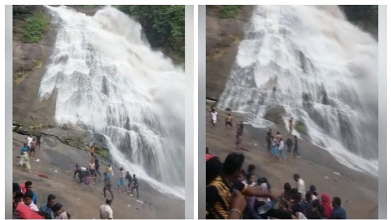 പാഞ്ഞെത്തി മലവെള്ളം, തുഷാരഗിരിയില് കുട്ടികളടക്കമുള്ള സഞ്ചാരികള് രക്ഷപ്പെട്ടത് തലനാരിഴയ്ക്ക് പാഞ്ഞെത്തി മലവെള്ളം, തുഷാരഗിരിയില് കുട്ടികളടക്കമുള്ള സഞ്ചാരികള് രക്ഷപ്പെട്ടത് തലനാരിഴയ്ക്ക്