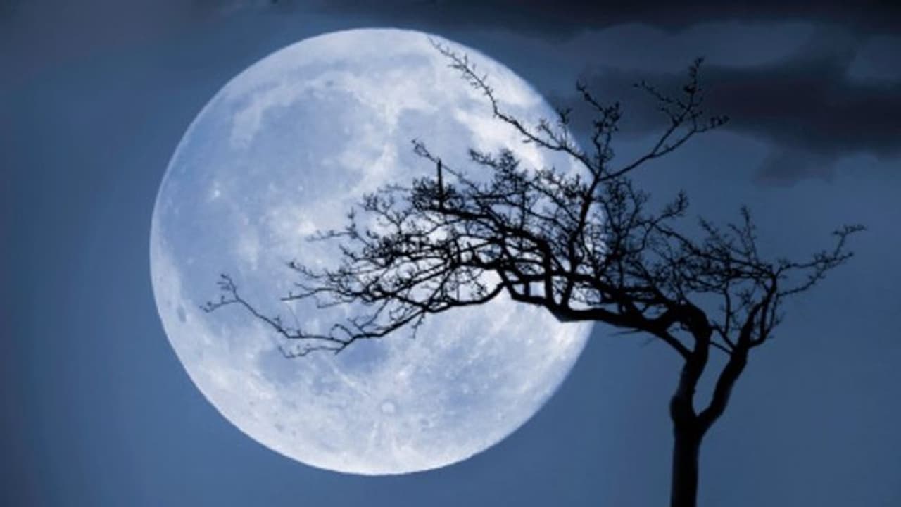 কোজাগরি পূর্নিমার রাতে চাঁদের আলোয় রাখুন একবাটি পায়েস, আর্থিক বাধা কাটাতে ৫টি টোটকা