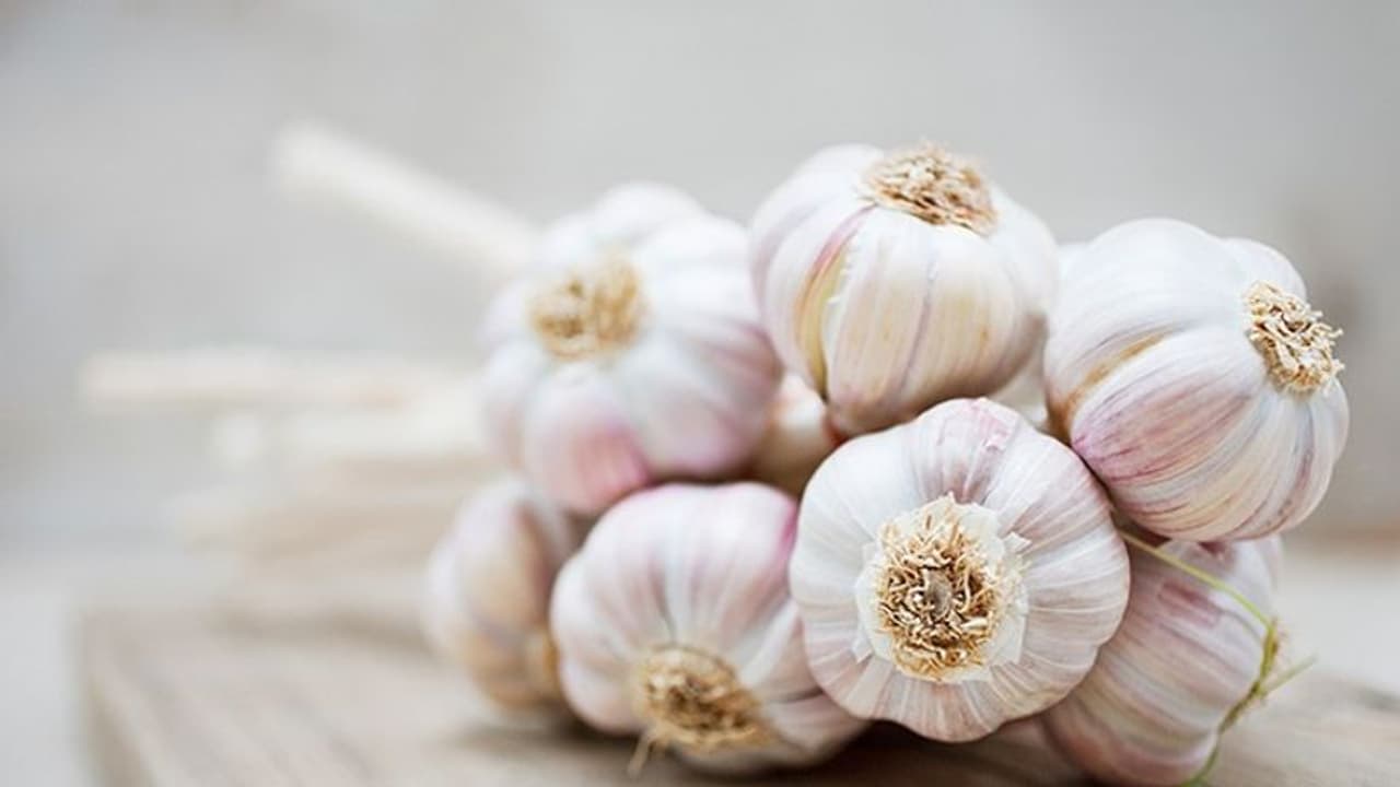 How to cook yummy food with garlic? Here are some rules to follow How to cook yummy food with garlic? Here are some rules to follow