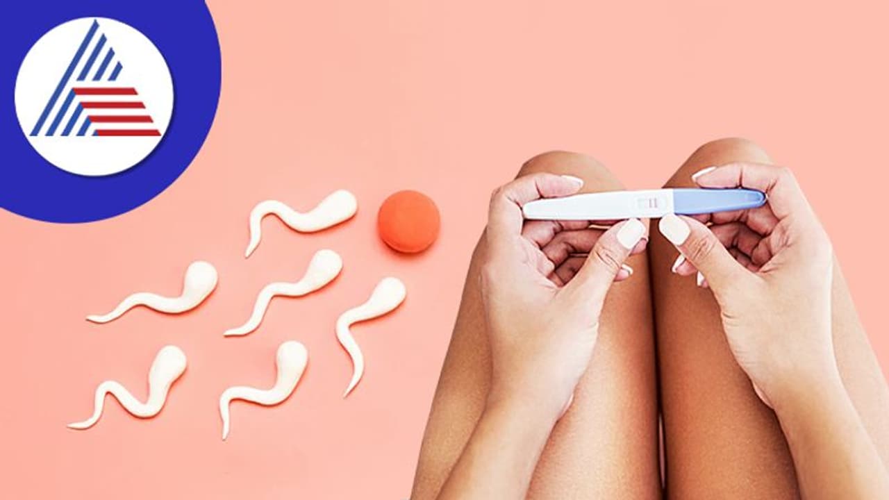 ಮದ್ವೆಯಾಗಿ ಬೇಗ ಗರ್ಭ ಧರಿಸಬೇಕು ಅನ್ನೋ ಪ್ಲಾನ್ ಇದ್ರೆ ಇವಿಷ್ಟನ್ನು ತಪ್ಪದೇ ಮಾಡಿ