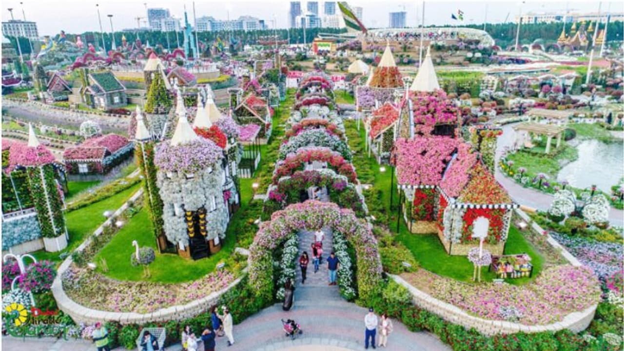 പൂക്കളുടെ ലോകത്തേക്ക് സന്ദര്ശകരെ ക്ഷണിച്ച് ദുബൈ മിറാക്കിള് ഗാര്ഡന് 10ന് തുറക്കും പൂക്കളുടെ ലോകത്തേക്ക് സന്ദര്ശകരെ ക്ഷണിച്ച് ദുബൈ മിറാക്കിള് ഗാര്ഡന് 10ന് തുറക്കും