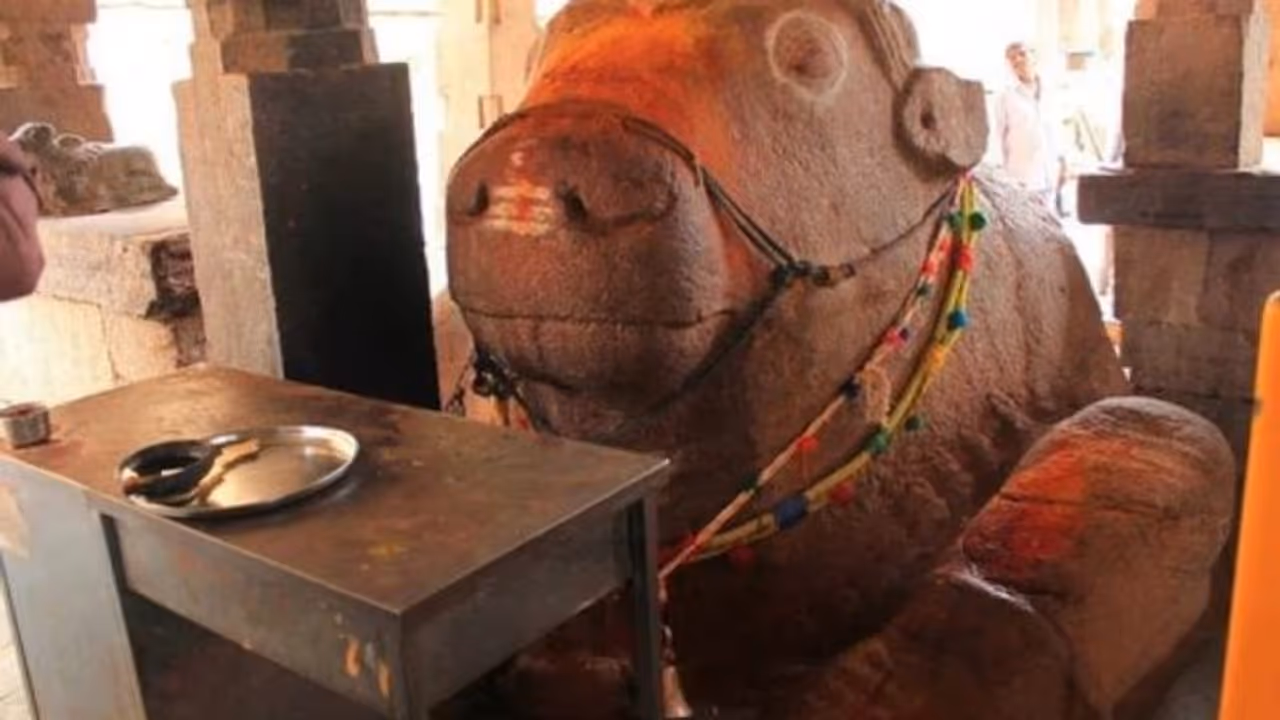 சிறிது சிறிதாக வளர்ந்துகொண்டே வரும் நந்திபகவான்! சிறிது சிறிதாக வளர்ந்துகொண்டே வரும் நந்திபகவான்!