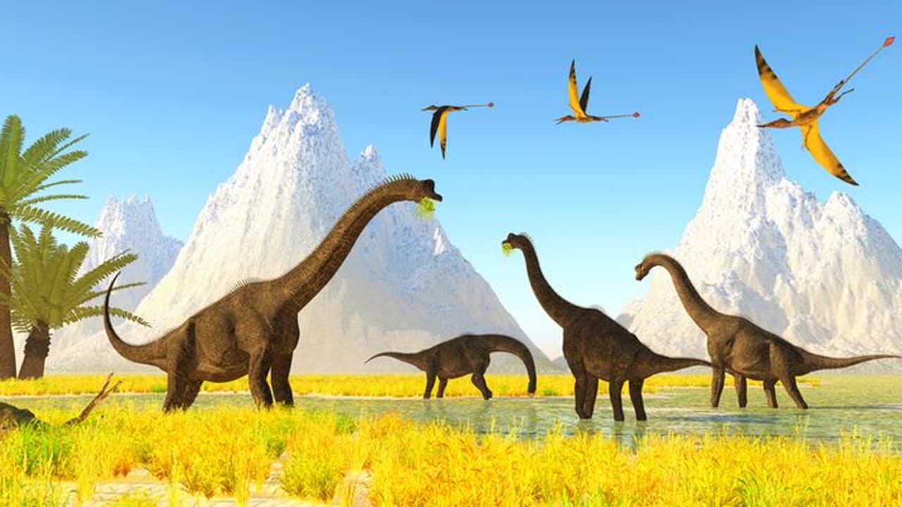 പൂച്ചയുടെ വലിപ്പം, ദിനോസര്‍ കുടുംബം, ദിനോസര്‍ കാലത്തെ പറക്കും ഉരഗത്തിന്റെ ഫോസില്‍ കണ്ടെത്തി