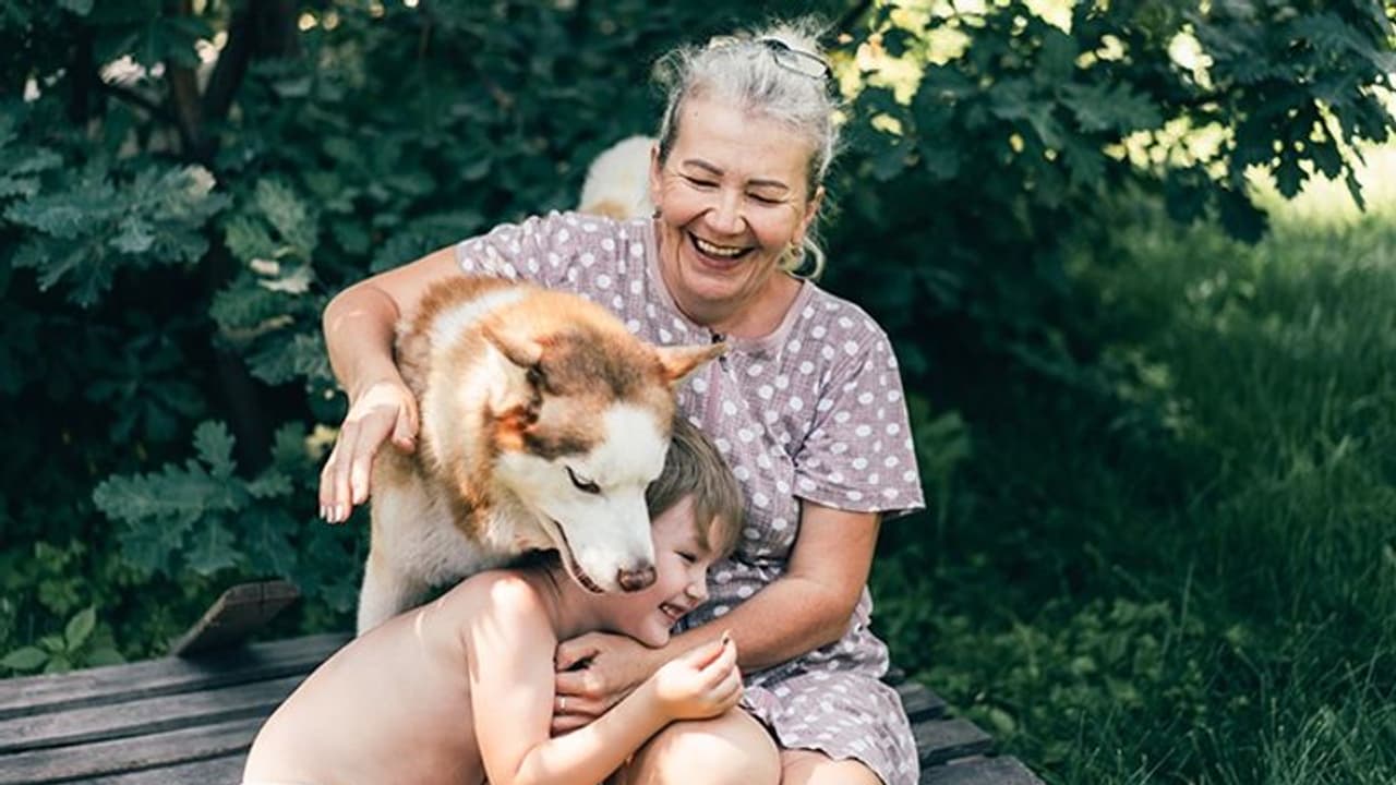 5 benefits of having a dog and your health and lifestyle