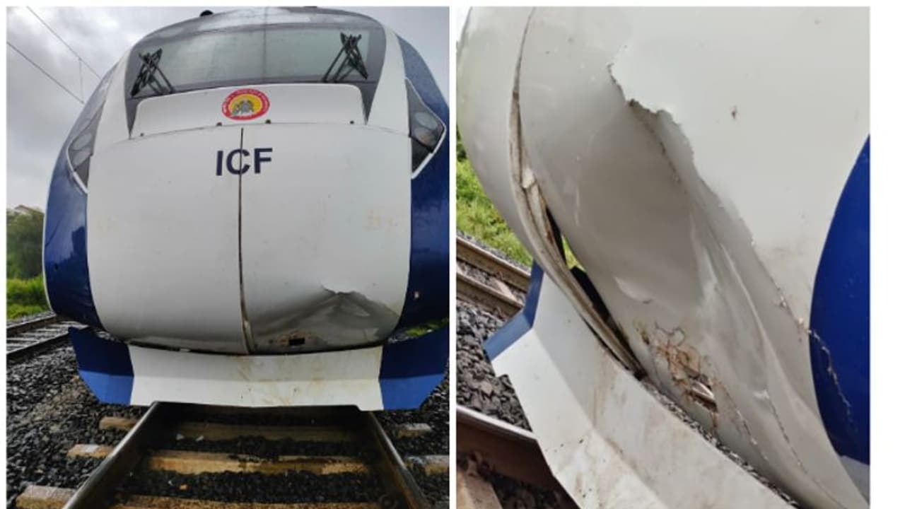 గోవును ఢీకొన్న వందే భారత్ ఎక్స్ప్రెస్.. రెండు రోజుల్లో రెండో ఘటన గోవును ఢీకొన్న వందే భారత్ ఎక్స్ప్రెస్.. రెండు రోజుల్లో రెండో ఘటన