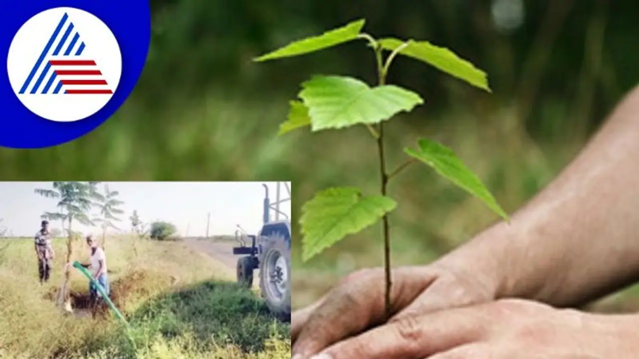 Dharwad News: ಸಾಮಾಜಿಕ ಅರಣ್ಯೀಕರಣ ಮಾಡುವಲ್ಲಿ ಹಿನ್ನಡೆ Dharwad News: ಸಾಮಾಜಿಕ ಅರಣ್ಯೀಕರಣ ಮಾಡುವಲ್ಲಿ ಹಿನ್ನಡೆ