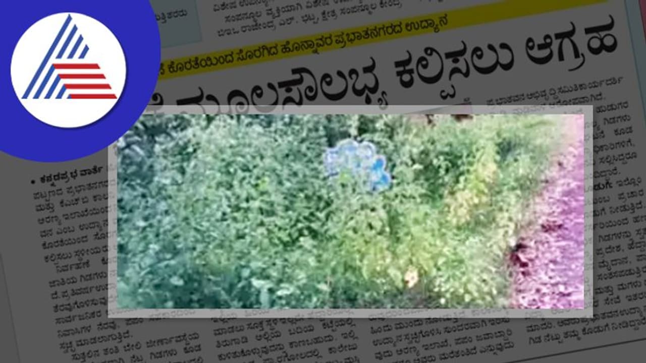 ಸೊರಗುತ್ತಿದೆ ಉದ್ಯಾನವನ; ಮೂಲಸೌಲಭ್ಯ ಕಲ್ಪಿಸಲು ಆಗ್ರಹ ಸೊರಗುತ್ತಿದೆ ಉದ್ಯಾನವನ; ಮೂಲಸೌಲಭ್ಯ ಕಲ್ಪಿಸಲು ಆಗ್ರಹ