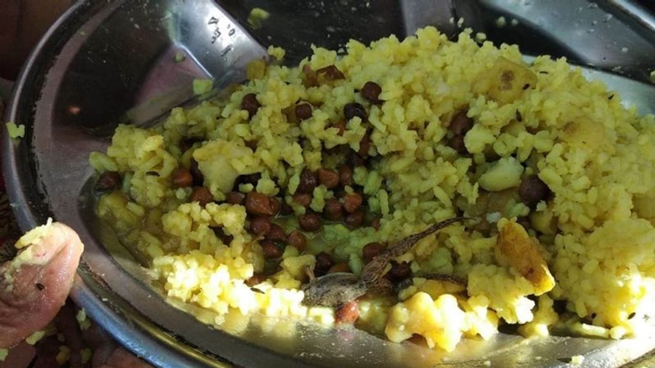 बिहार: मध्यान्ह भोजन में बच्चों को छोले के साथ परोस दिया गया मेंढक, देखते ही सहम गए नौनिहाल बिहार: मध्यान्ह भोजन में बच्चों को छोले के साथ परोस दिया गया मेंढक, देखते ही सहम गए नौनिहाल