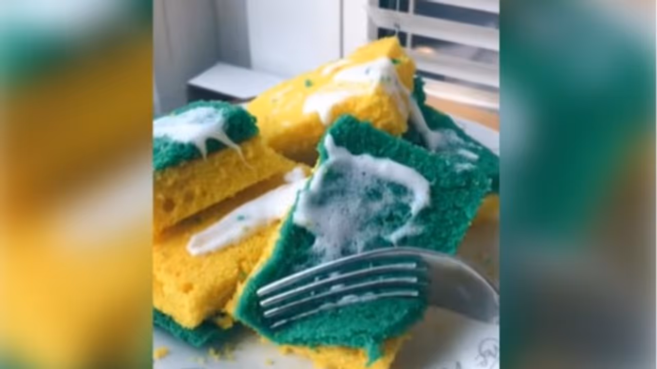 Food Video: ഡിഷ് സ്പോഞ്ചിന്‍റെ മാതൃകയില്‍ കേക്ക്; വിമര്‍ശനവുമായി സോഷ്യല്‍ മീഡിയ 