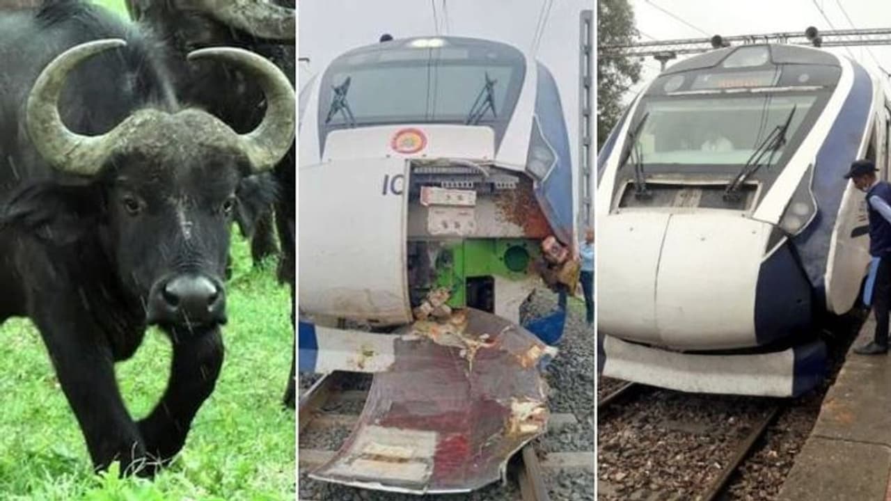 ‘முதலில் எருமை, அடுத்து மாடு.. இப்போ அதுவும் போச்சா.! அடுத்தடுத்து விபத்தில் சிக்கும் வந்தே பாரத் ரயில்’ ‘முதலில் எருமை, அடுத்து மாடு.. இப்போ அதுவும் போச்சா.! அடுத்தடுத்து விபத்தில் சிக்கும் வந்தே பாரத் ரயில்’