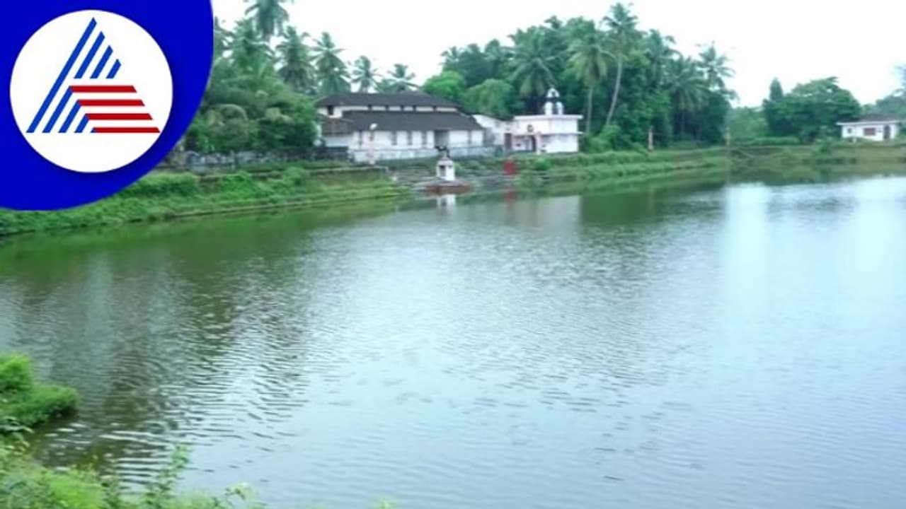 ಉಡುಪಿ: ಕಲುಷಿತಗೊಂಡ ಕೋಟಿಲಿಂಗೇಶ್ವರ ದೇಗುಲದ ಪುಷ್ಕರಣಿ, ಮೀನುಗಳು ಸಾವು! ಉಡುಪಿ: ಕಲುಷಿತಗೊಂಡ ಕೋಟಿಲಿಂಗೇಶ್ವರ ದೇಗುಲದ ಪುಷ್ಕರಣಿ, ಮೀನುಗಳು ಸಾವು!