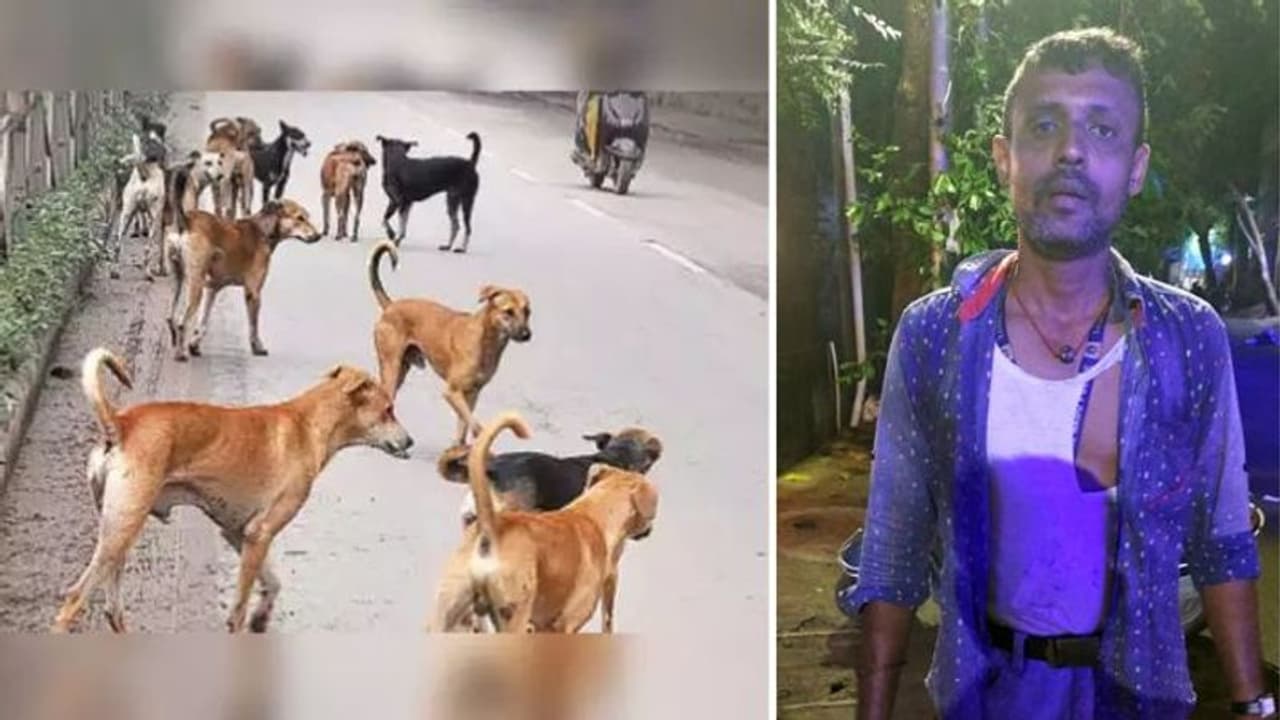 வாயில்லா ஜீவனை ஏன் அடிக்குறீங்க.? தட்டி கேட்ட காவலரை தாக்கிய போதை கும்பல் சென்னையில் அதிர்ச்சி சம்பவம் வாயில்லா ஜீவனை ஏன் அடிக்குறீங்க.? தட்டி கேட்ட காவலரை தாக்கிய போதை கும்பல் சென்னையில் அதிர்ச்சி சம்பவம்