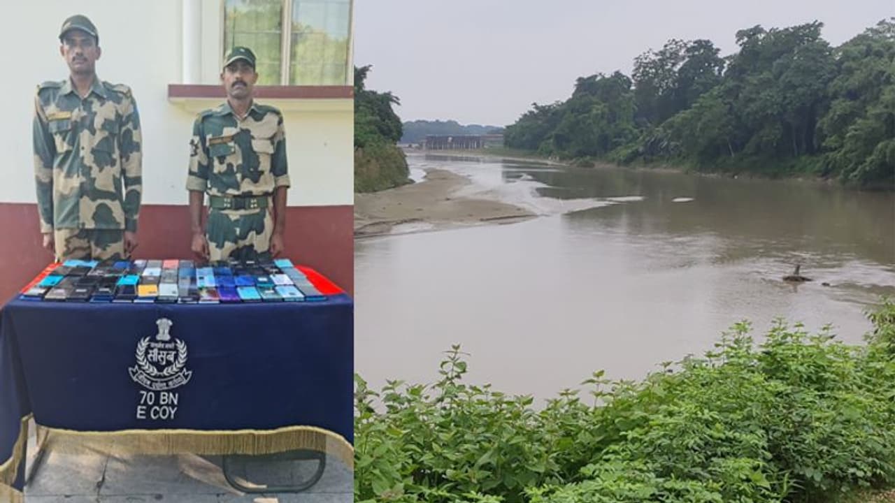 मोबाइल वाली नदी: पानी में तैरते मिले 300 से ज्यादा फोन, कीमत इतनी कि आम आदमी खरीद ले घर मोबाइल वाली नदी: पानी में तैरते मिले 300 से ज्यादा फोन, कीमत इतनी कि आम आदमी खरीद ले घर