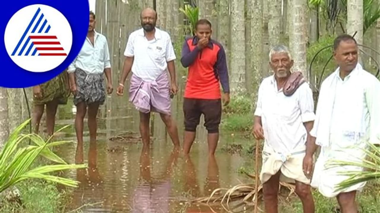 Chitradurga; ಕೋಡಿ ಬಿದ್ದ ಹಂಪನೂರು ಕೆರೆ, ಜಲಾವೃತಗೊಂಡ ಜಮೀನುಗಳು Chitradurga; ಕೋಡಿ ಬಿದ್ದ ಹಂಪನೂರು ಕೆರೆ, ಜಲಾವೃತಗೊಂಡ ಜಮೀನುಗಳು